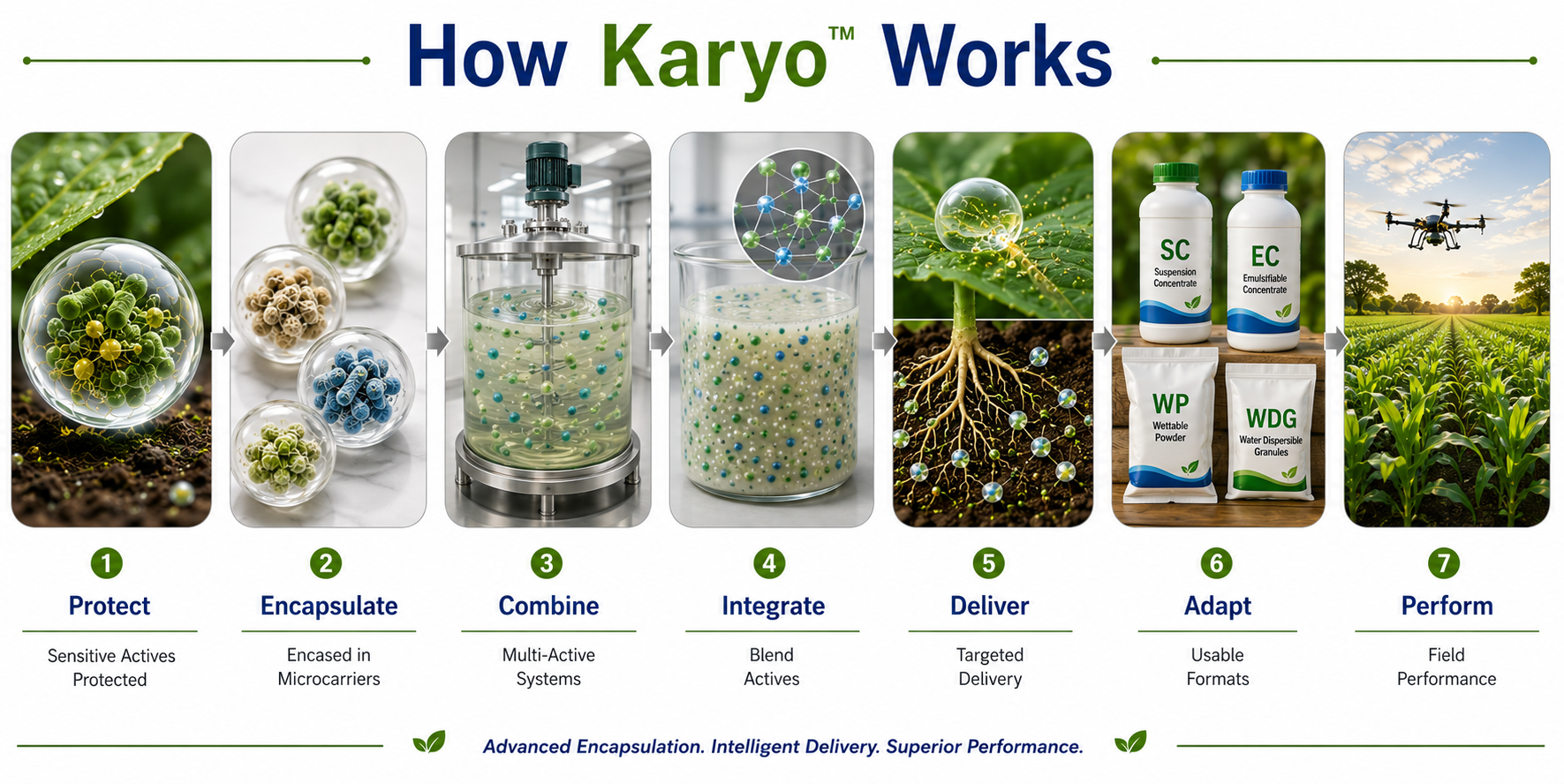 Karyo encapsulation and active protection architecture diagram